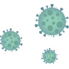 mold-remediation-mold-spores